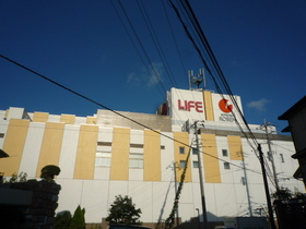 Supermarket. 800m up to life (Super)