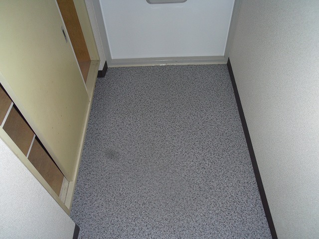 Entrance. There and convenient shoe box