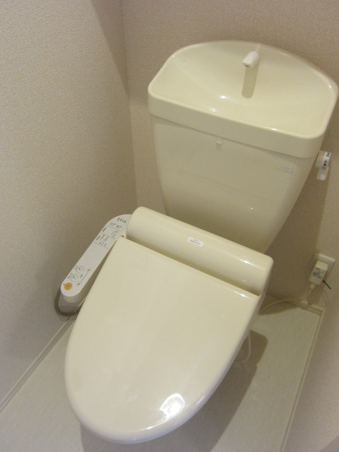 Toilet. Warm water washing toilet seat