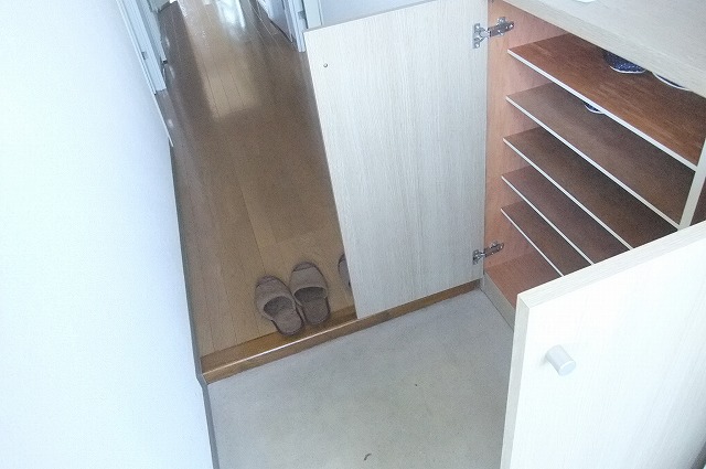 Entrance. There and convenient shoe box