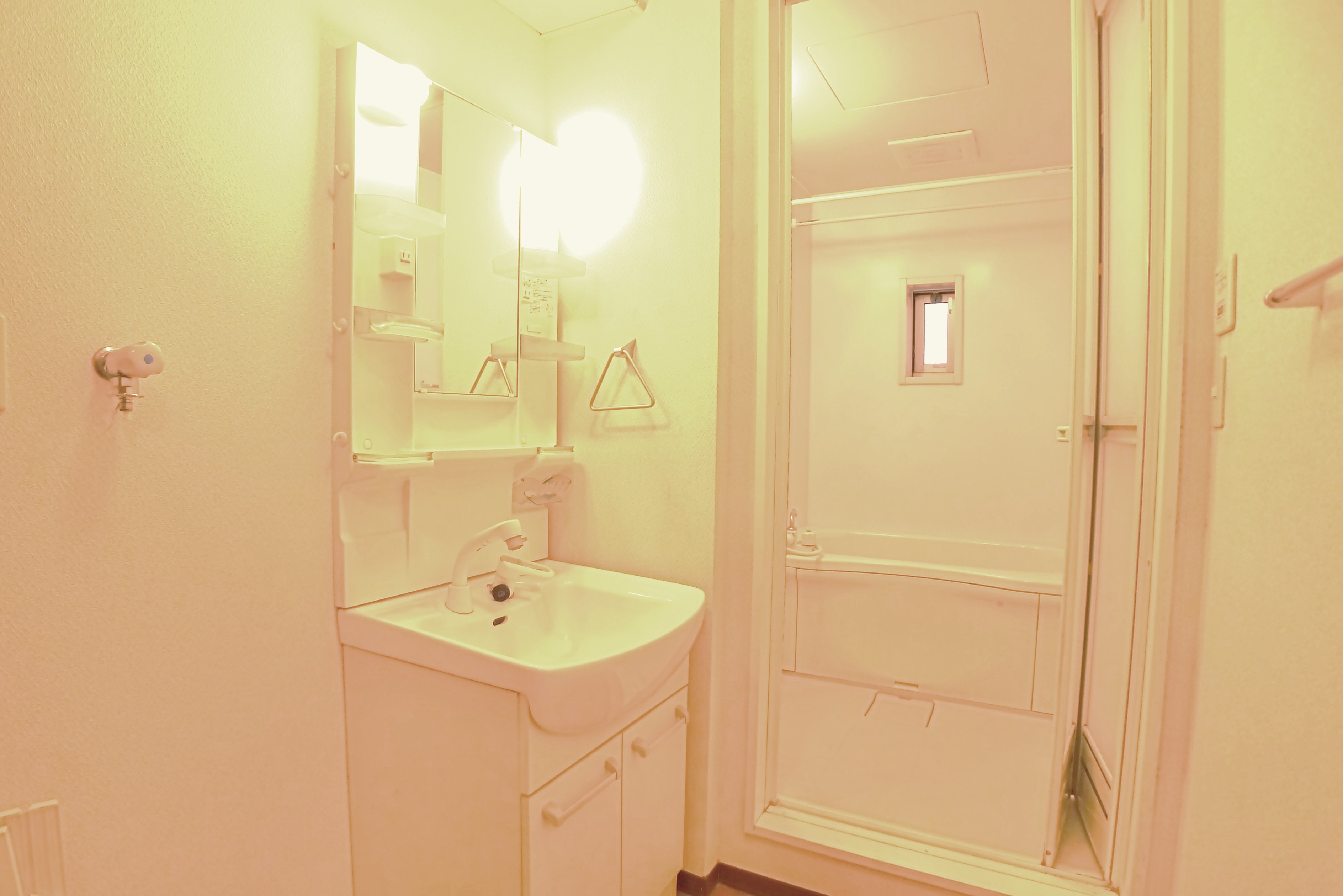 Washroom. Set up a space for a shower vanity and washing machine