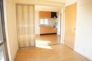 Living and room. Partition of the DK is using a less oppressive feeling sliding door!