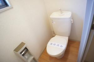 Toilet. There are also windows in WC! Of course, it is the bathroom and separate!