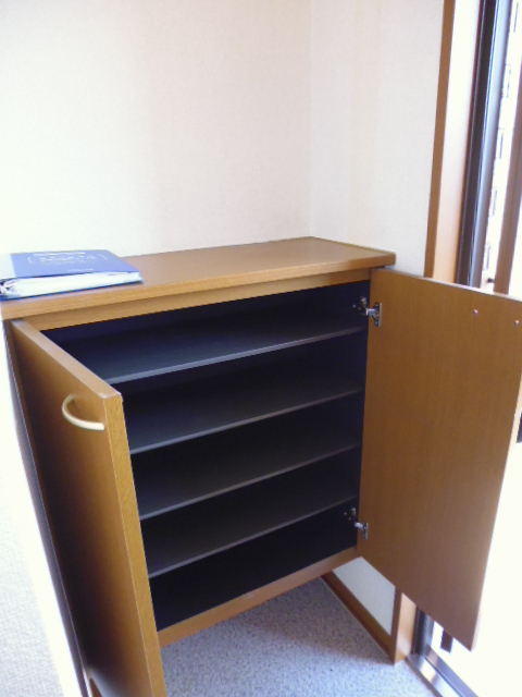 Entrance. Entrance storage