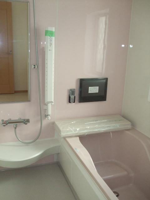 Bathroom. Local (September 2013) Shooting