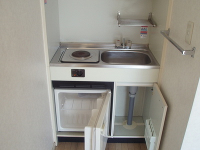 Kitchen. A small kitchen