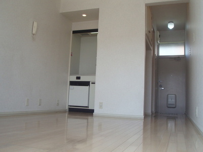 Living and room. Bright Western-style