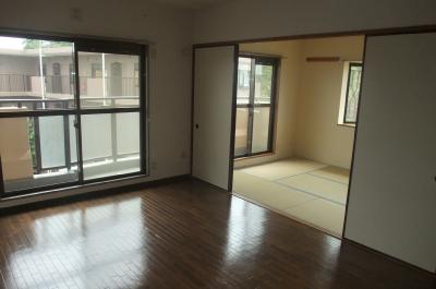 Living and room. Living