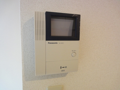 Security. Monitor with intercom