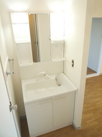 Washroom. Stand-alone Vanity of