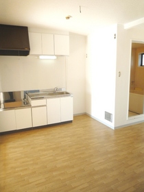 Kitchen. Economic city gas