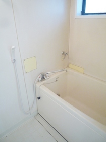 Bath. Bathing of useful add-fired with function