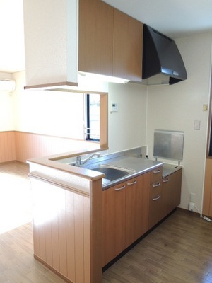 Kitchen. Face-to-face kitchen