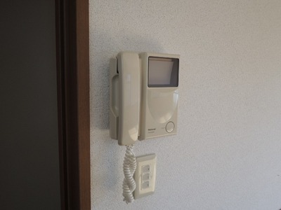 Security. Monitor with intercom