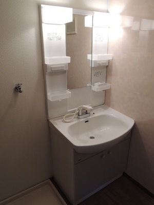 Washroom. Bathroom Vanity