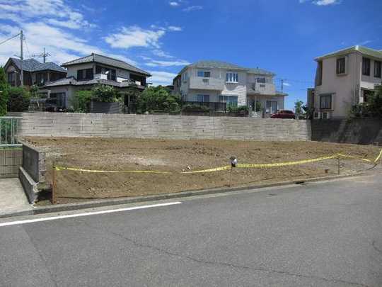 Local appearance photo. local