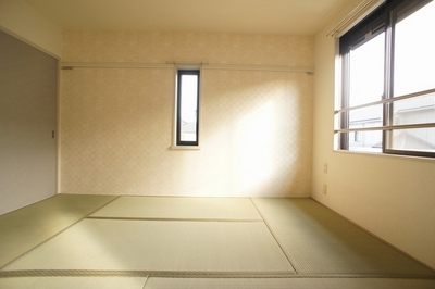 Living and room. Bright is also room for two-sided lighting