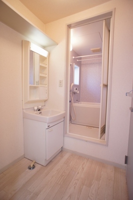 Washroom. Independence is a washbasin