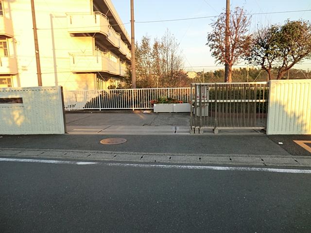 Other. Gumizawa junior high school