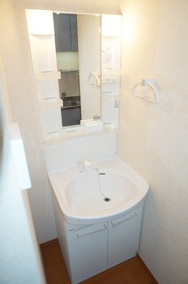 Other. Independent wash basin