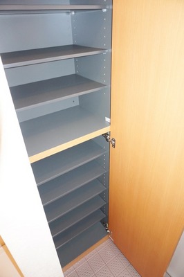 Entrance. Footwear purse