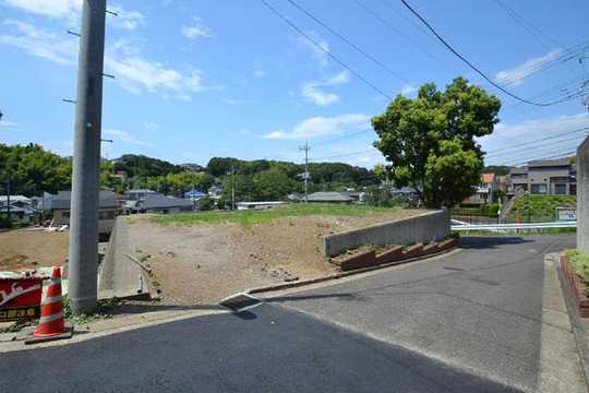 Local land photo. We photographed the local from the east side road.