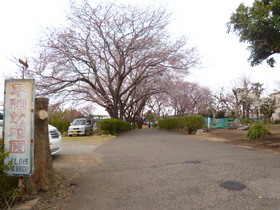 kindergarten ・ Nursery. Peace kindergarten (kindergarten ・ Nursery school) to 400m