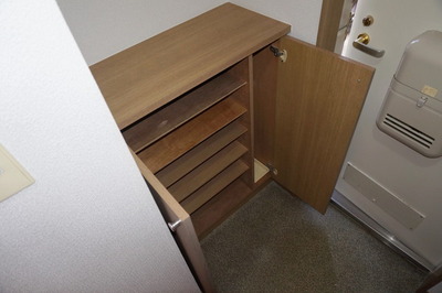 Entrance. Footwear purse