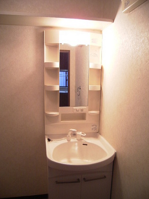 Washroom. Shampoo is a dresser type