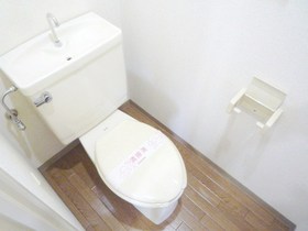 Toilet. Toilet