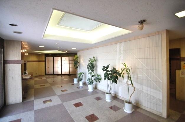 Entrance. Common areas