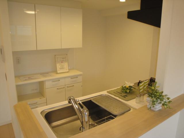Kitchen. Indoor (12 May 2013) Shooting