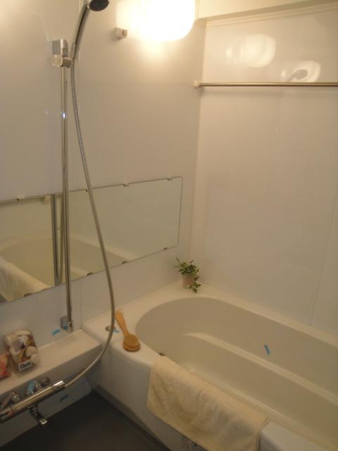 Bathroom. Indoor (12 May 2013) Shooting