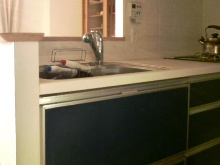Kitchen. Indoor (11 May 2013) Shooting