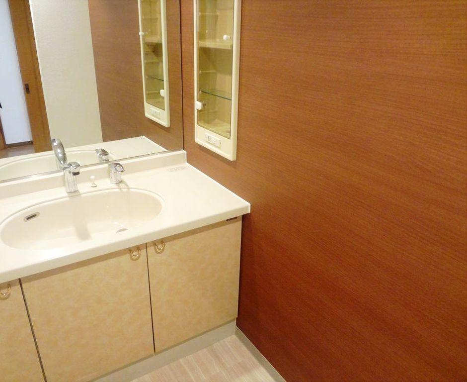 Wash basin, toilet. Indoor (12 May 2013) Shooting