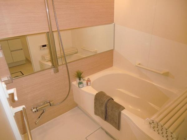 Bathroom. Indoor (10 May 2013) Shooting