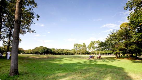 park. Until Kishinekoen 982m