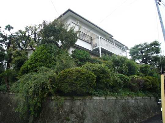 Local land photo. Appearance 1