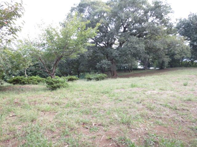 park. 500m to the forest of Shirahata