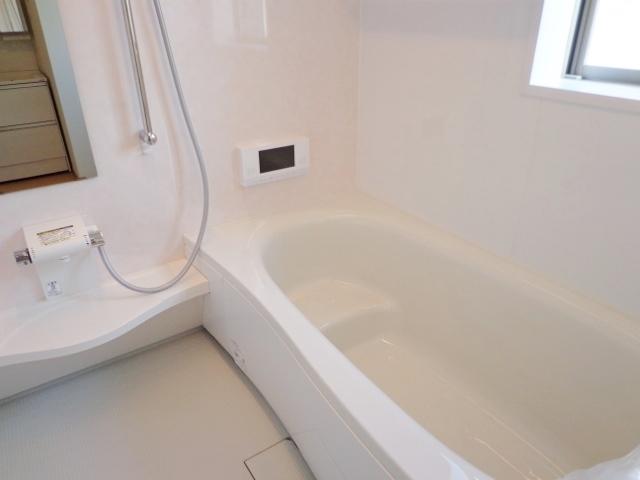 Bathroom. System bus