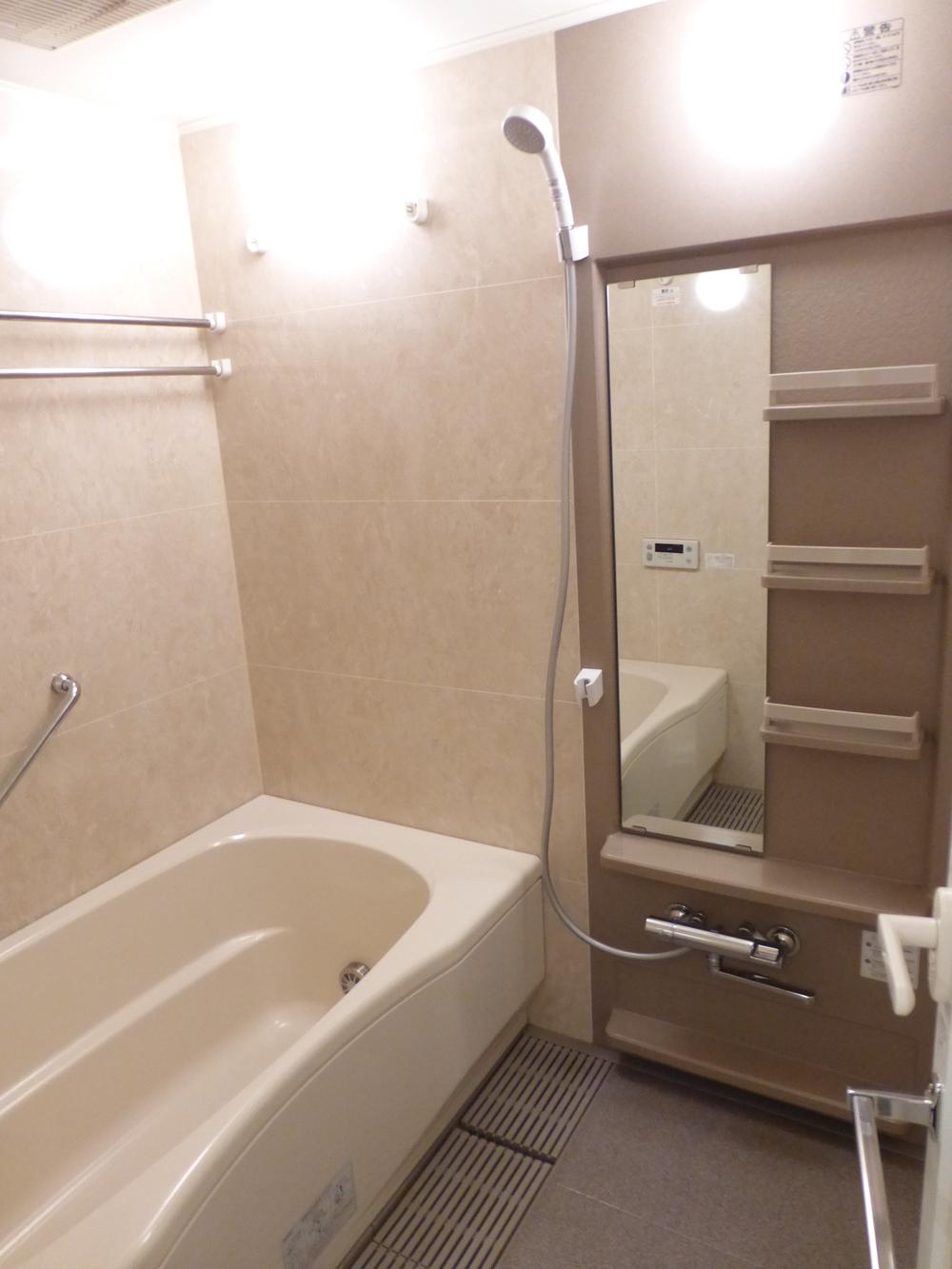 Bathroom. Indoor (October 21, 2013) Shooting