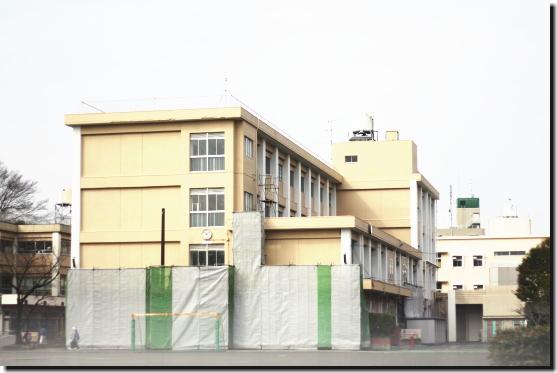 Other local. Mitsuzawa elementary school