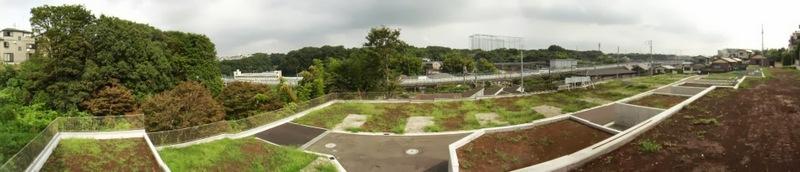 Local appearance photo. Selling local