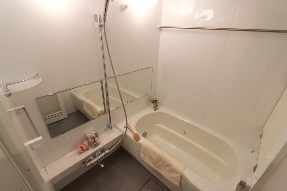 Bathroom. Indoor (January 2014) Shooting