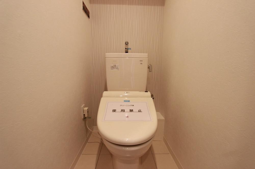 Toilet. Indoor (January 2014) Shooting