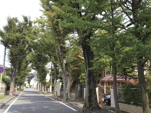 Streets around. 98m to the local surrounding cityscape