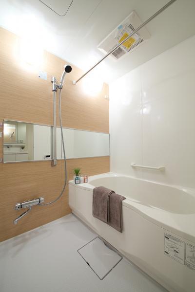 Bathroom. Indoor shooting
