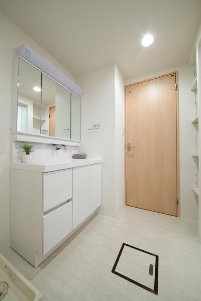 Wash basin, toilet. Indoor shooting