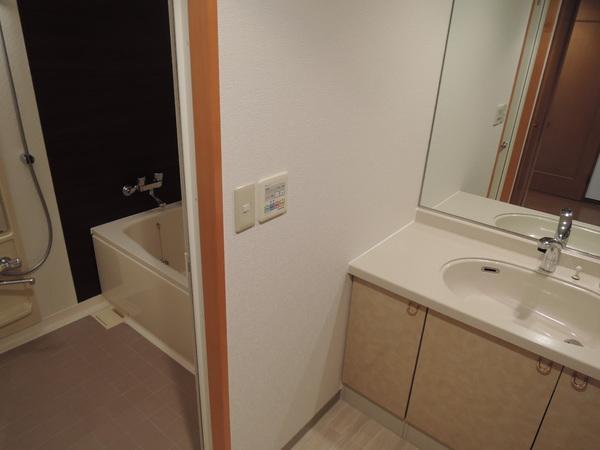 Wash basin, toilet. Interior