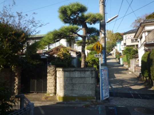 Local land photo. Appearance 1